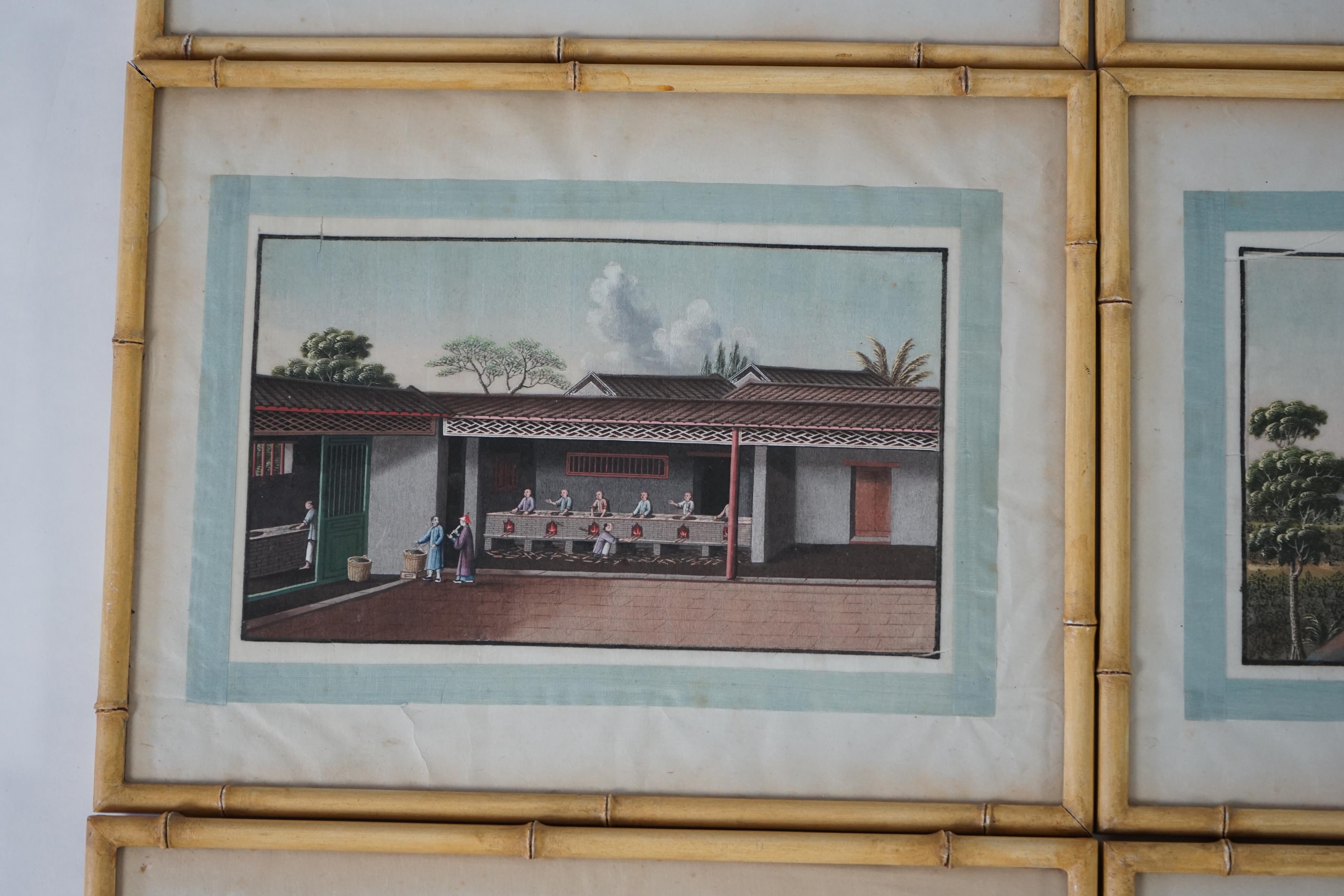 A set of twelve Chinese gouache paintings on pith paper of tea production, circle of Tingqua c.1840